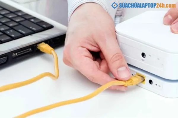 Laptop không nhận mạng dây