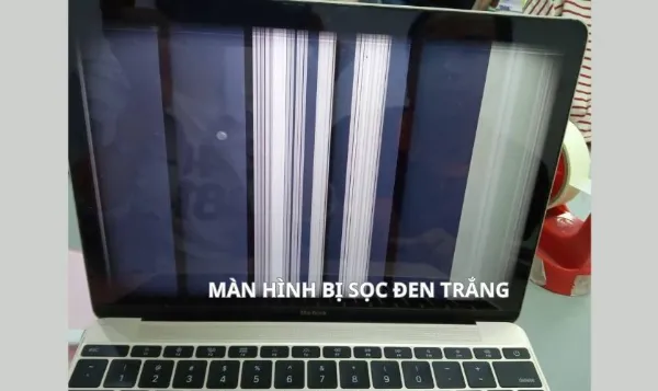Màn Hình Laptop Bị Sọc: Nguyên Nhân và Cách Khắc Phục 7 Màn hình laptop bị sọc đen trắng