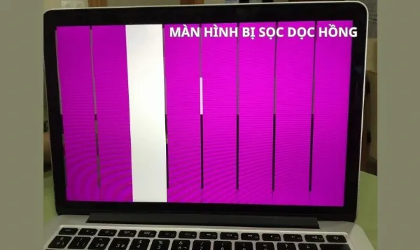 Màn Hình Laptop Bị Sọc: Nguyên Nhân và Cách Khắc Phục 6 Màn hình laptop bị sọc dọc màu hồng