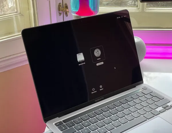 Cách xóa máy Mac chạy chip M1 5   Màn hình tùy chọn khởi động trên máy Mac chip Apple Silicon, hiển thị các tùy chọn có sẵn.