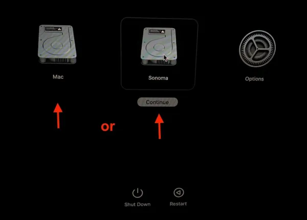 Cách cài macOS 15 Sequoia trên phân vùng khác của máy Mac 10 alt_10: Giao diện chọn phân vùng khởi động trên máy Mac dùng chip Apple silicon