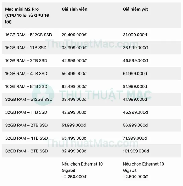 Bảng giá Mac mini M2 Pro 10-core CPU, 16-core GPU cho sinh viên