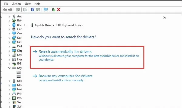 Cập Nhật Driver Bàn Phím Bước 4