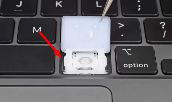 Có Thể Thay Thế Từng Phím Bị Hỏng Không?