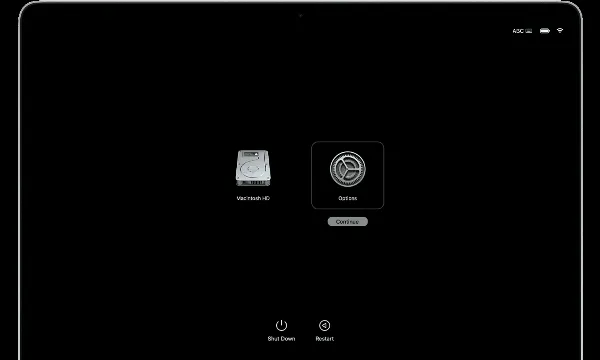Mô tả: Hình ảnh minh họa các tùy chọn khởi động trên máy Mac dùng chip Apple Silicon