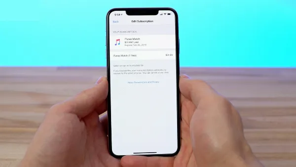 alt: Danh sách các dịch vụ đang được đăng ký trên tài khoản Apple ID