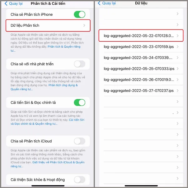 alt: Danh sách Dữ liệu Phân tích trên iPhone, hiển thị các file log hệ thống