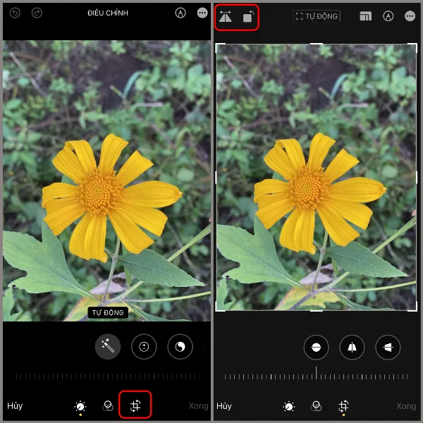 alt: Giao diện ứng dụng Ảnh trên iPhone với các tùy chọn xoay và lật ảnh