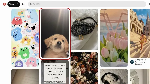 Cách lưu ảnh trên Pinterest cực kỳ nhanh chóng, có ngay những bức ảnh đẹp mắt trong máy 4 alt: Giao diện website Pinterest, chọn hình ảnh cần tải về