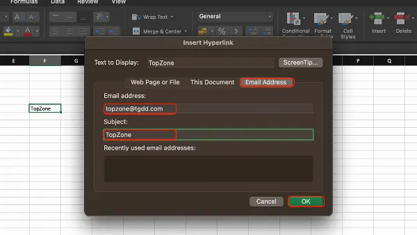 alt: Hộp thoại "Insert Hyperlink" trong Excel, chọn "E-mail Address" và điền thông tin email