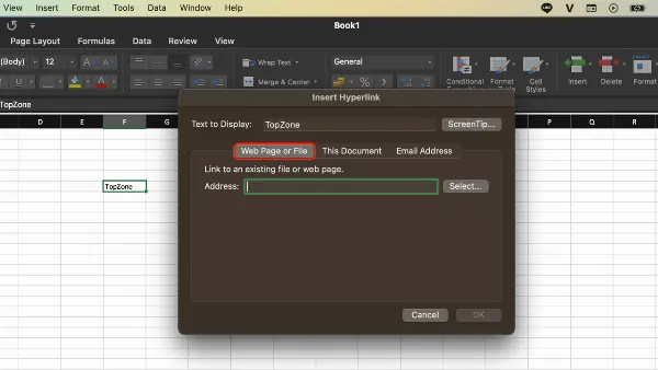 alt: Hộp thoại "Insert Hyperlink" trong Excel, lựa chọn "Web Page or File"