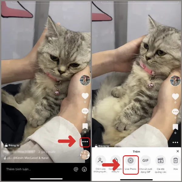 alt: Hướng dẫn chọn tính năng Live Photo trên video TikTok để tải về iPhone