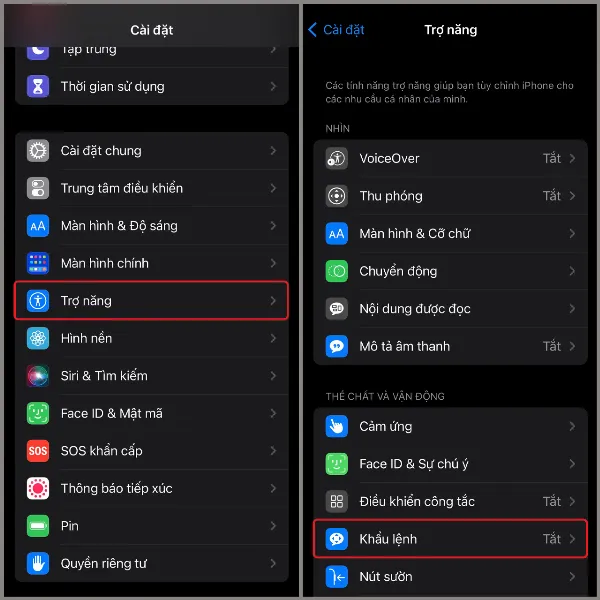 alt: Màn hình cài đặt trợ năng trên iPhone, hiển thị các tùy chọn hỗ trợ người dùng