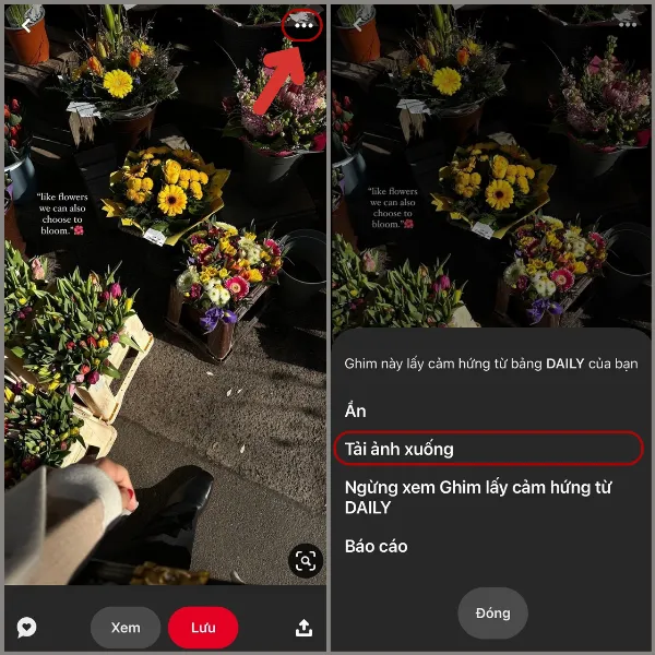 Cách lưu ảnh trên Pinterest cực kỳ nhanh chóng, có ngay những bức ảnh đẹp mắt trong máy 3 alt: Nhấn vào biểu tượng ba chấm và chọn Tải ảnh xuống