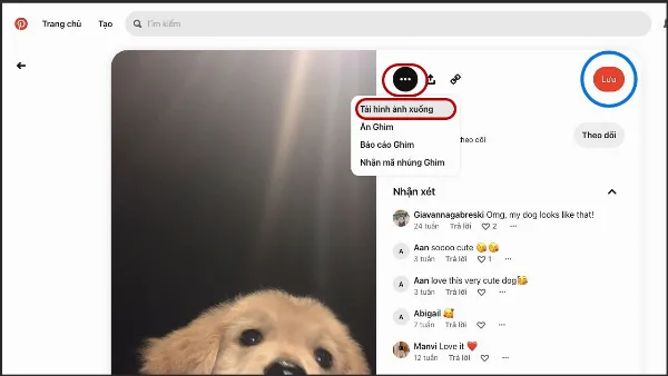 Cách lưu ảnh trên Pinterest cực kỳ nhanh chóng, có ngay những bức ảnh đẹp mắt trong máy 5 alt: Nhấp vào biểu tượng ba chấm, chọn Tải hình ảnh xuống