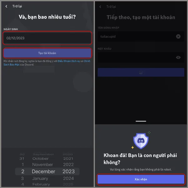 alt: Quy trình xác minh danh tính người dùng trên Discord thông qua việc nhập ngày sinh và xác nhận không phải robot