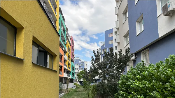 alt text tiếng Việt: Ảnh chụp cận cảnh hoa lá bằng camera chính iPhone 15 Plus, màu sắc sống động, chi tiết sắc nét