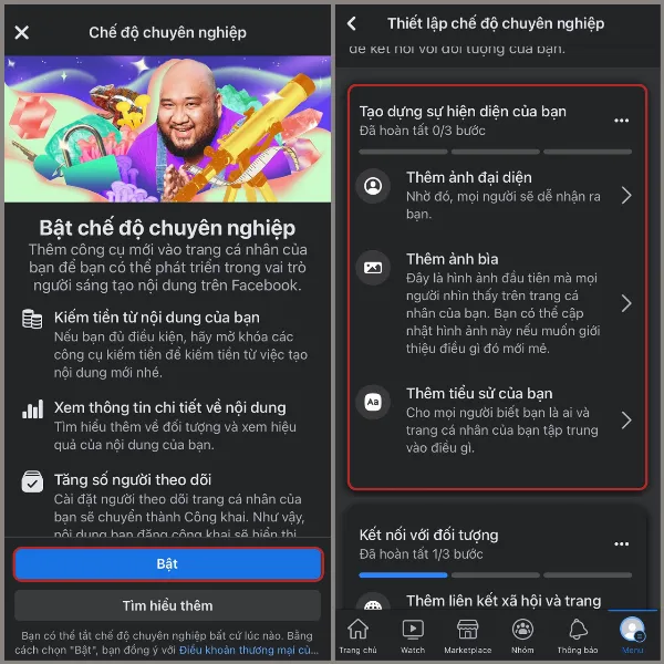 alt: Xác nhận bật chế độ chuyên nghiệp trên Facebook
