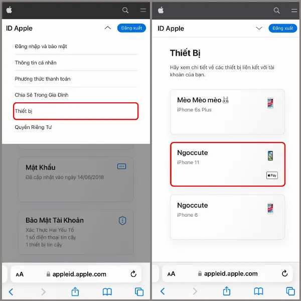 Ảnh chụp màn hình giao diện quản lý thiết bị trên trang web My Apple ID, hiển thị danh sách các thiết bị đã đăng nhập bằng tài khoản Apple ID hiện tại.