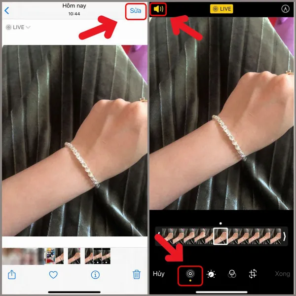 Ảnh chụp màn hình ứng dụng Ảnh trên iPhone, hiển thị các bước tắt âm thanh của Live Photo: chọn ảnh, nhấn Sửa, chọn chế độ Live, và tắt âm thanh bằng icon loa.
