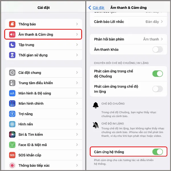 Bật hoặc tắt phản hồi cảm ứng hệ thống trên iPhone