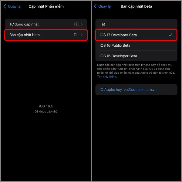 Các bước hướng dẫn cách cập nhật iOS 17 beta