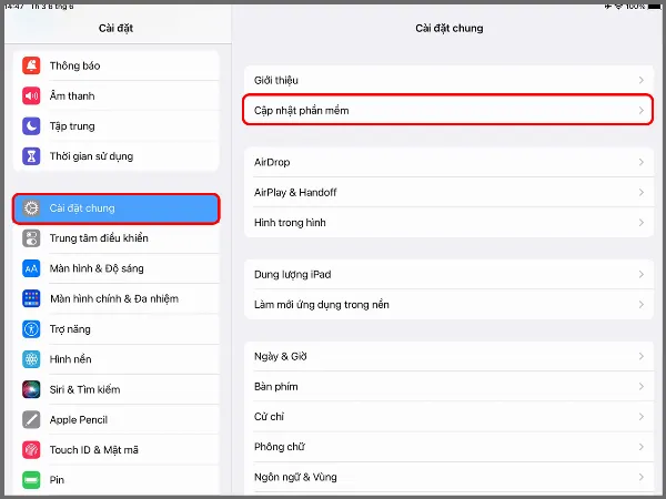 Các bước hướng dẫn cách cập nhật iPadOS 17 beta