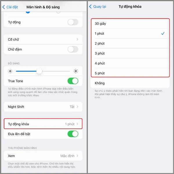 Các tùy chọn thời gian tự động khóa màn hình iPhone