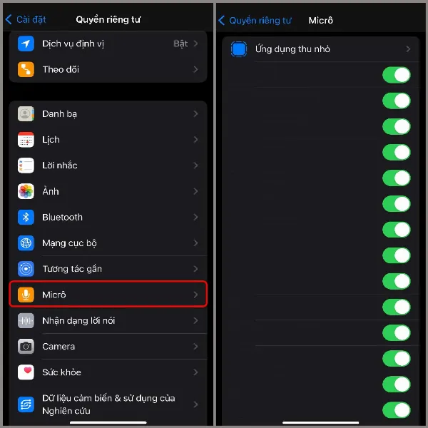 Cấp quyền truy cập micro cho ứng dụng