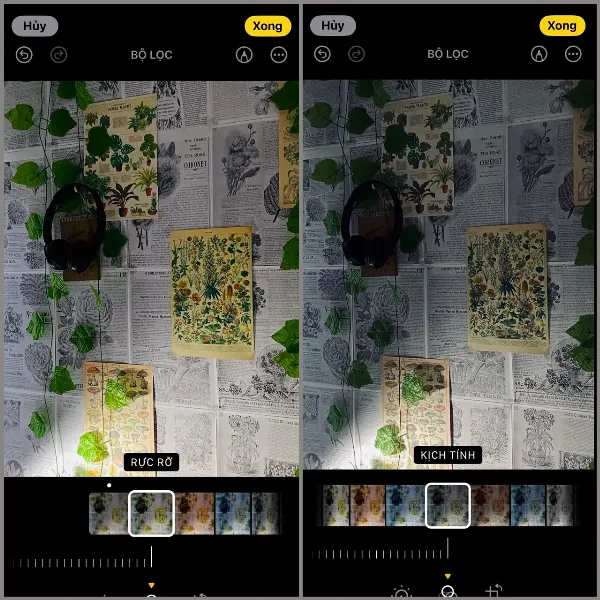 Chín bộ lọc màu khác nhau được hiển thị trên màn hình iPhone