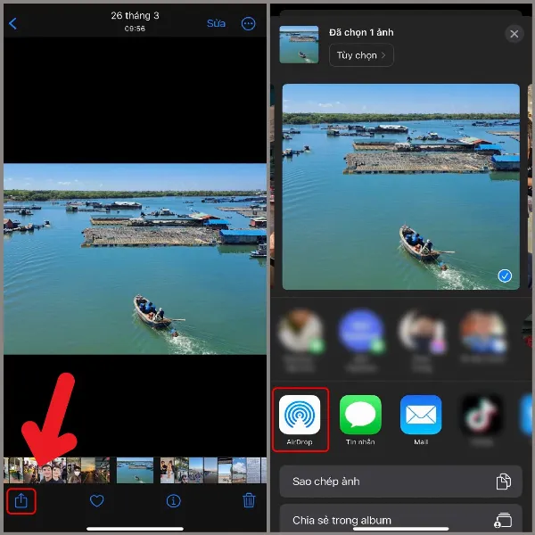 Chọn ảnh cần chuyển từ iPhone sang MacBook và chia sẻ qua AirDrop