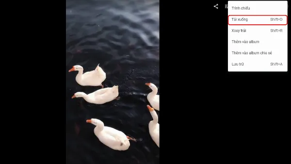 Chọn ảnh, nhấp vào biểu tượng ba chấm và chọn Tải xuống