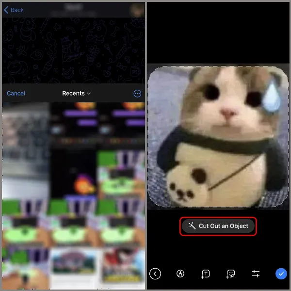 Cách tạo Sticker trên Telegram, tăng thêm sự sinh động và vui vẻ cho những cuộc trò chuyện 3 Chọn ảnh từ thư viện để tạo sticker Telegram.