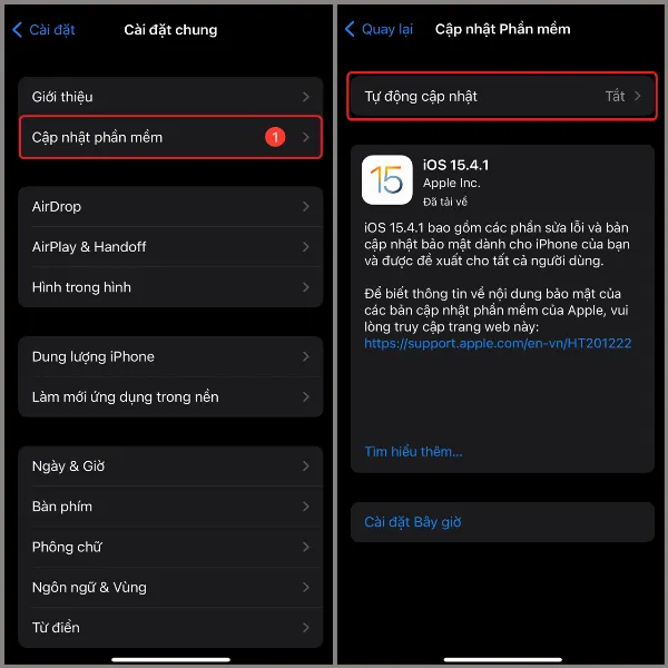 Chọn cập nhật phần mềm trong cài đặt chung