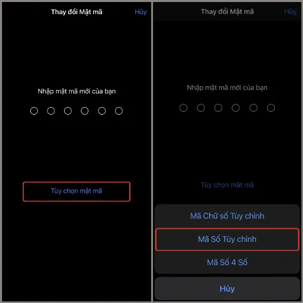 Chọn Mã Số Tùy chỉnh trong Tùy chọn mật mã