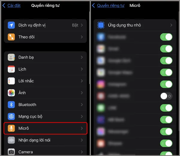 Chọn Micro và gạt nút bật cho các ứng dụng cần sử dụng