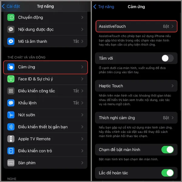 Chọn mục cảm ứng trong phần trợ năng