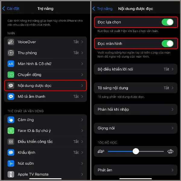 Cách đọc màn hình iPhone bằng Tiếng Việt giúp việc đọc văn bản trở nên vô cùng đơn giản, cùng thử nhé! 2 Chọn Nội dung được đọc và bật Đọc lựa chọn, Đọc màn hình