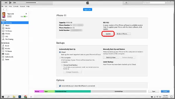 Chọn Update trong iTunes