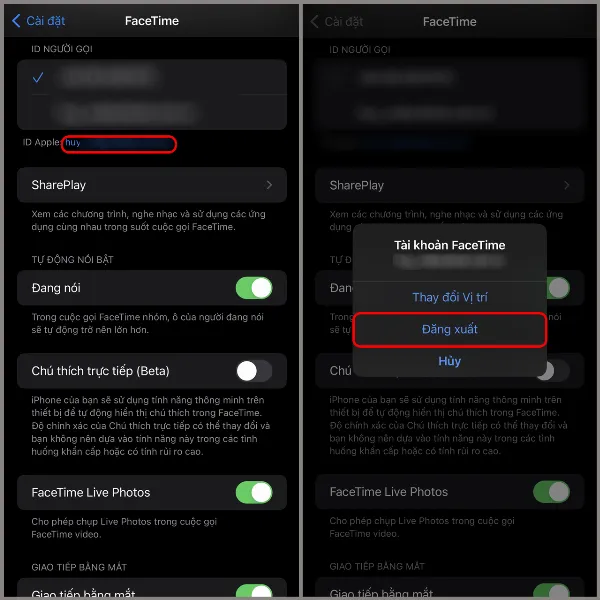 Đăng xuất và đăng nhập lại tài khoản FaceTime