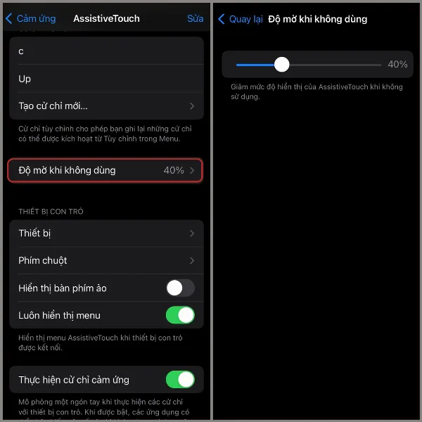 Điều chỉnh độ mờ nút Home ảo