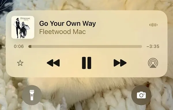 Giao diện hiển thị danh sách phát Yêu thích trên Apple Music