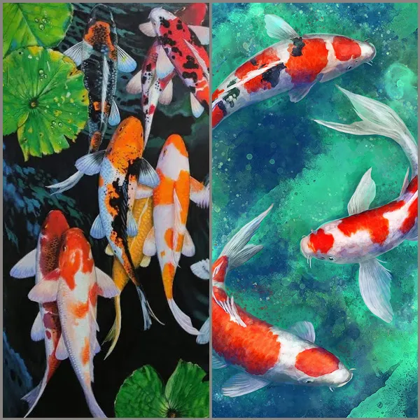 Hình nền cá Koi màu đỏ rực rỡ trên nền nước xanh