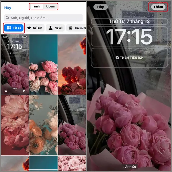 Hình nền hoa mẫu đơn (Peony) cho iPhone cực đẹp với chất lượng cao nhất, cho bạn cảm giác tươi mới 5 Hình nền hoa mẫu đơn cho iPhone