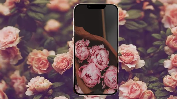 Hình nền hoa mẫu đơn (Peony) cho iPhone cực đẹp với chất lượng cao nhất, cho bạn cảm giác tươi mới 1 Hình nền hoa mẫu đơn cho iPhone