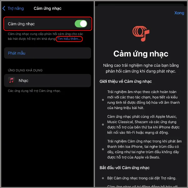 Hướng dẫn bật tính năng cảm ứng nhạc trên iOS 18