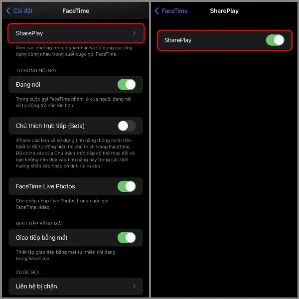 Kiểm tra đã bật SharePlay trong cài đặt FaceTime