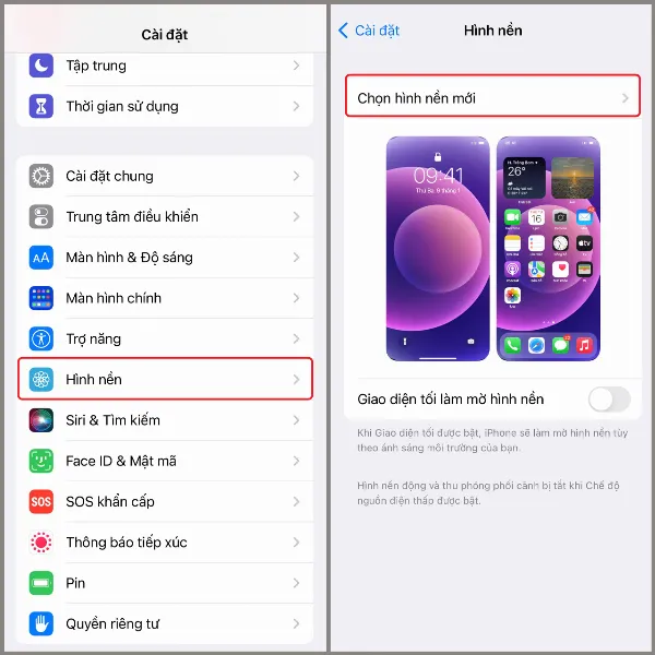 Màn hình cài đặt hình nền trên iPhone, hiển thị các tùy chọn hình nền động, tĩnh và thư viện ảnh cá nhân.