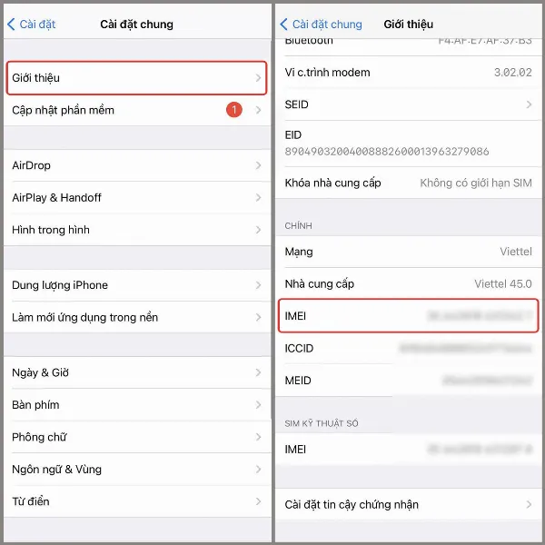 Màn hình hiển thị thông tin IMEI trên iPhone
