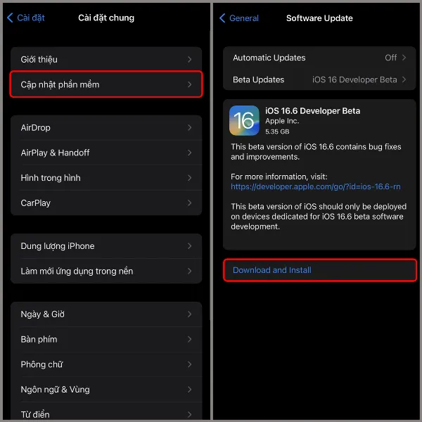 Màn hình iPhone hiển thị tùy chọn tải về và cài đặt iOS 16.6 Developer Beta
